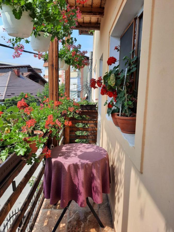 Pensiunea Cristiana Curtea de Argeş Exteriör bild