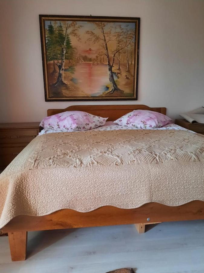 Pensiunea Cristiana Curtea de Argeş Exteriör bild