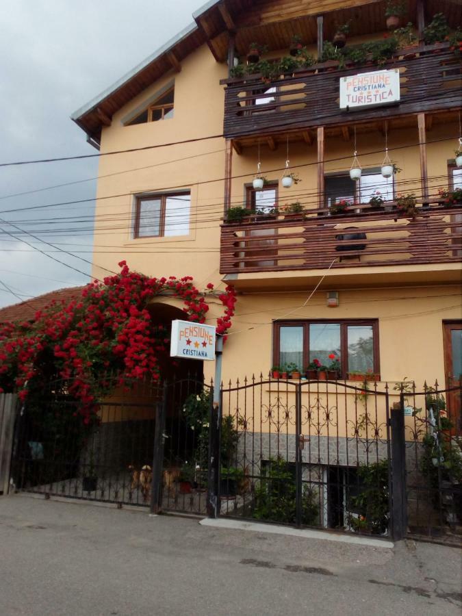 Pensiunea Cristiana Curtea de Argeş Exteriör bild