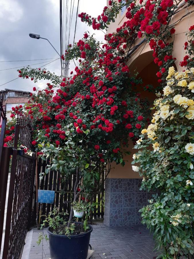 Pensiunea Cristiana Curtea de Argeş Exteriör bild